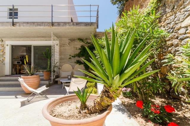 Crete Retreat - Nature & Comfort Await Ιεράπετρα Εξωτερικό φωτογραφία